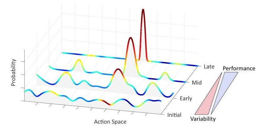 The Role of Variability in Motor Learning